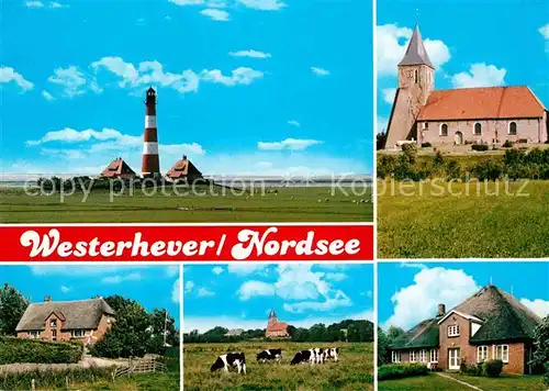 AK / Ansichtskarte Westerhever Leuchtturm Kirche Friesenhaeuser Weiderinder Kat. Westerhever