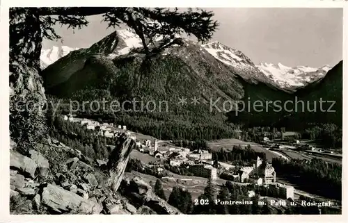 AK / Ansichtskarte Pontresina Panorama Blick zu Piz Palue Berninagruppe Rosegtal Kat. Pontresina