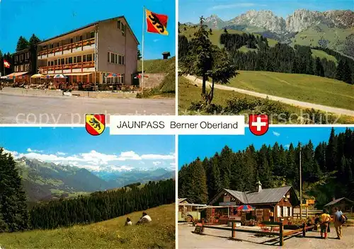 AK / Ansichtskarte Jaunpass Hotel des Alpes Gastlosen Simmental Sportbazar Alpenpanorama Kat. Jaun