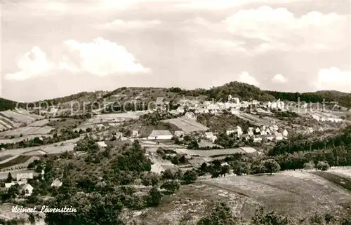 AK / Ansichtskarte Loewenstein Panorama Weinort Kat. Loewenstein