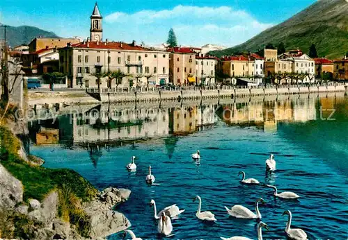 AK / Ansichtskarte Lago di Lugano Porlezza Schwaene Kat. Italien
