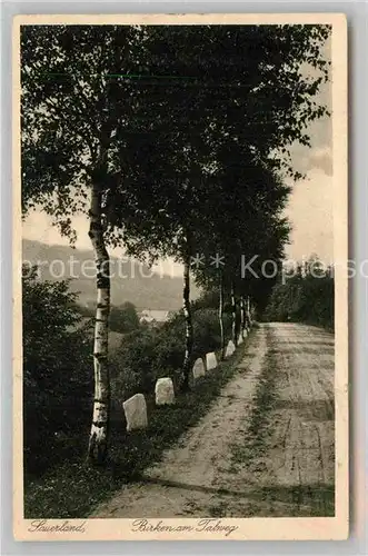 AK / Ansichtskarte Sauerland Birken Talweg