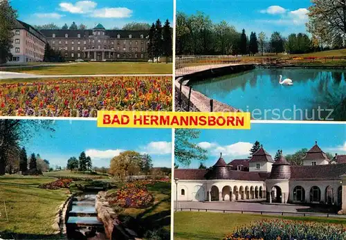 AK / Ansichtskarte Bad Hermannsborn Historisches Kurhaus Brunnenanlage Schwanenteich Park Kat. Bad Driburg