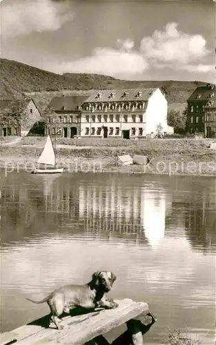 AK / Ansichtskarte Ernst Cochem Gasthaus Loenartz Andre Moselpartie Kat. Ernst