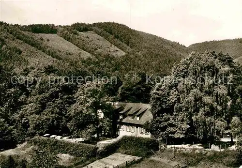 AK / Ansichtskarte Wachenheim Weinstrasse Forsthaus Rotsteig Kat. Wachenheim an der Weinstrasse