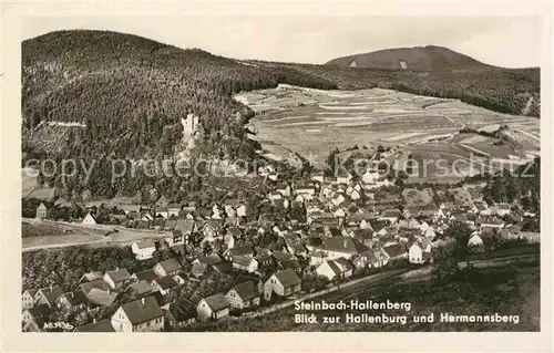 AK / Ansichtskarte Steinbach Hallenberg Panorama Blick zur Hallenburg und Hermannsberg Kat. Steinbach Hallenberg