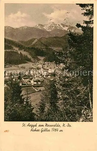 AK / Ansichtskarte St Aegyd Neuwalde Panorama Hoher Goeller Muerzsteger Alpen Kat. St. Aegyd am Neuwalde