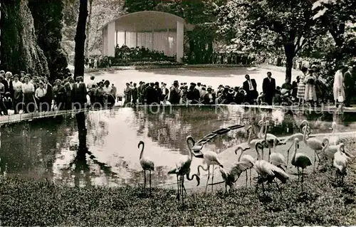 AK / Ansichtskarte Elberfeld Wuppertal Flamingos Zoologischer Garten Kat. Wuppertal