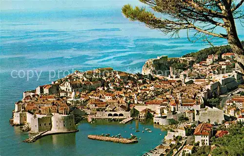 AK / Ansichtskarte Dubrovnik Ragusa Hafen Altstadt Dalmatian Coast Kat. Dubrovnik
