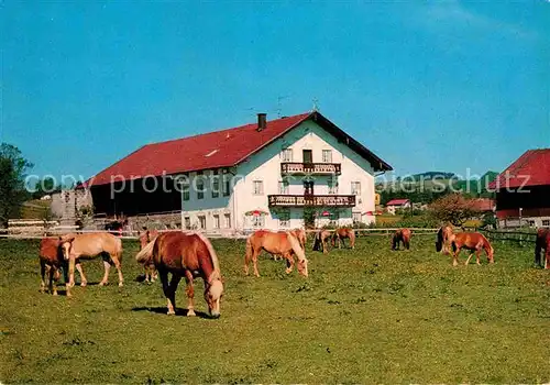 AK / Ansichtskarte Au Miesbach Forellenstuben Pferdekoppel Kat. Miesbach