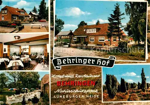 AK / Ansichtskarte Behringen Bispingen Behringer Hof Hotel Restaurant Gastraum Terrasse