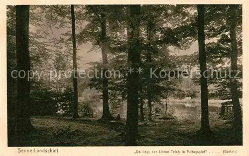 AK / Ansichtskarte Bielefeld Senne Landschaft  Kat. Bielefeld