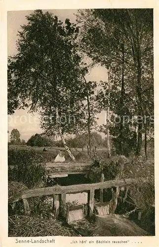 AK / Ansichtskarte Bielefeld Senne Landschaft Kat. Bielefeld