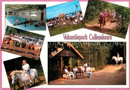 AK / Ansichtskarte Collendorn Vakantiepark Pferde Ponys