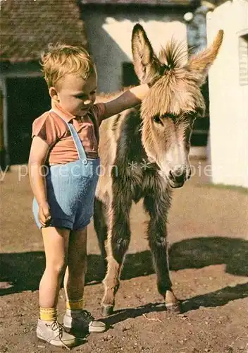 AK / Ansichtskarte Esel Tiere Kind  Kat. Tiere