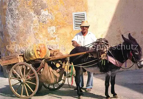 AK / Ansichtskarte Esel Tiere Eselkarre Street Hawker selling Vegetables Victoria Gozo  Kat. Tiere