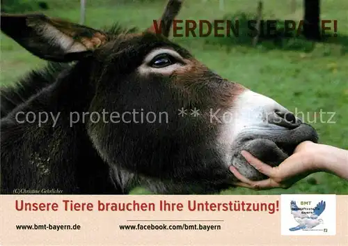 AK / Ansichtskarte Esel Tiere Patenschaft Bmt Bayern  Kat. Tiere