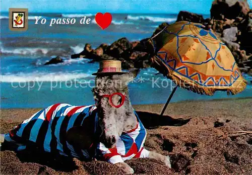 AK / Ansichtskarte Esel Tiere Strand Spanien  Kat. Tiere