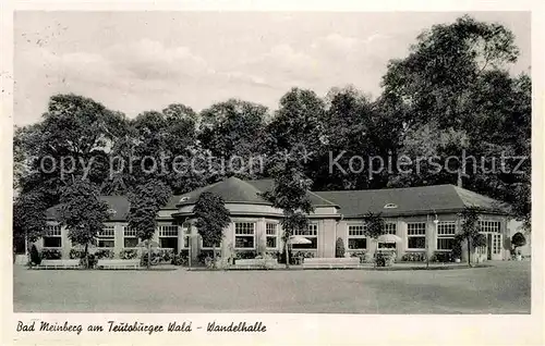 AK / Ansichtskarte Bad Meinberg Wandelhalle Kat. Horn Bad Meinberg