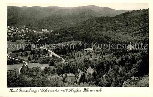 AK / Ansichtskarte Bad Harzburg Panorama  Kat. Bad Harzburg