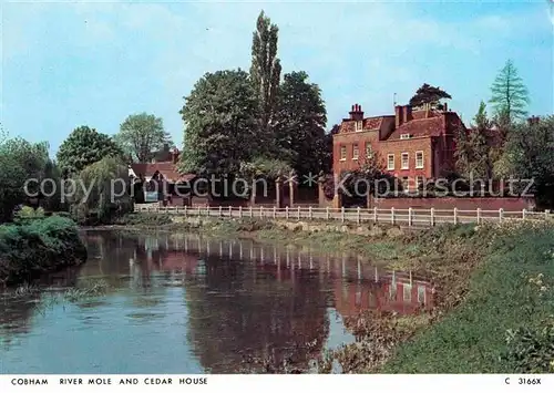 AK / Ansichtskarte Cobham River Mole and Cedar House Kat. Elmbridge