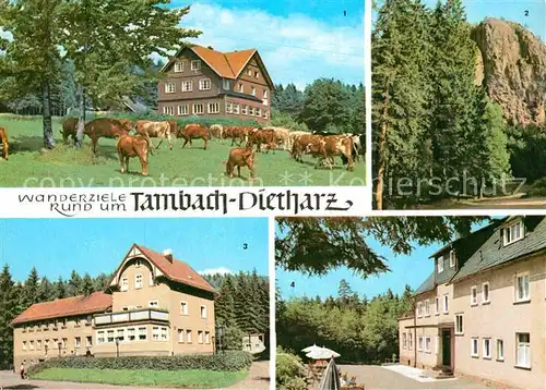 AK / Ansichtskarte Tambach Dietharz Berghotel Ebertswiese Falkenstein Rodebachmuehle  Kat. Tambach Dietharz