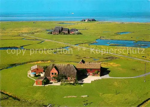 AK / Ansichtskarte Hallig Hooge Fliegeraufnahme Volkerts  Ipkens  und Westerwarft Kat. Hooge