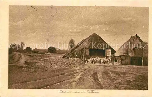 AK / Ansichtskarte Bauernhof Schafe Veluwe Holland  Kat. Landwirtschaft