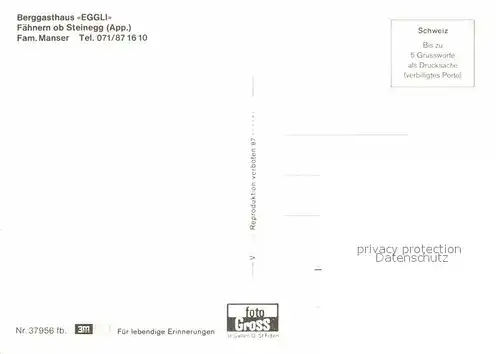 AK / Ansichtskarte Faehnern Steinegg AI Berggasthaus Eggli Fernsicht