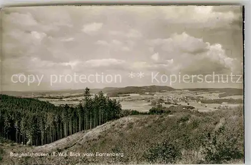 AK / Ansichtskarte Borgholzhausen Blick vom Barrenberg Panorama Kat. Borgholzhausen