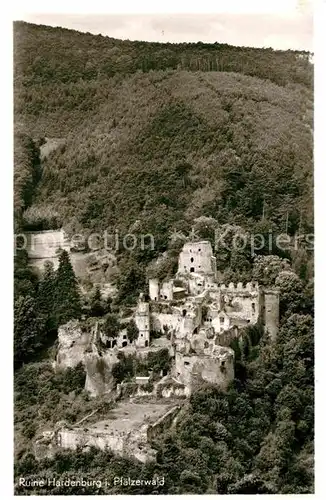 AK / Ansichtskarte Hardenburg Burgruine im Pfaelzerwald Kat. Bad Duerkheim