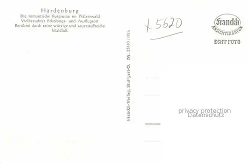AK / Ansichtskarte Hardenburg Burgruine im Pfaelzerwald Kat. Bad Duerkheim