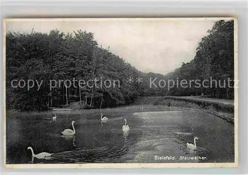 AK / Ansichtskarte Bielefeld Stauweiher Kat. Bielefeld