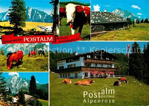 AK / Ansichtskarte Strobl Postalm Gasthof Alpenrose  Kat. Strobl