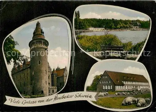 AK / Ansichtskarte Hinsbeck Schloss Schafe Seepartie Kat. Nettetal