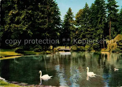 AK / Ansichtskarte Bad Schwalbach Weiher im Kurpark Schwaene Kat. Bad Schwalbach