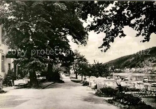 AK / Ansichtskarte Krippen Bad Schandau Landgasthof Ziegelschenne Kat. Bad Schandau