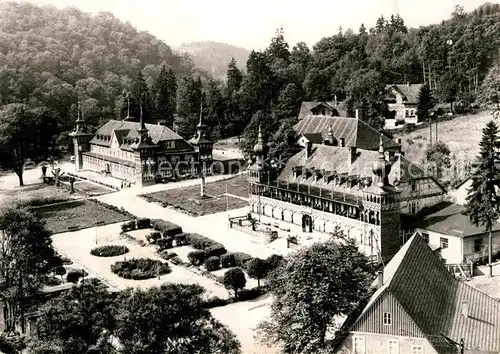 AK / Ansichtskarte Alexisbad Harz Teilansicht Kat. Harzgerode