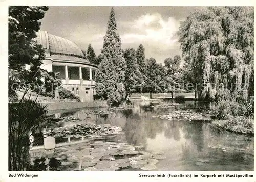 AK / Ansichtskarte Bad Wildungen Seerosenteich Kurpark Musikpavillon Kat. Bad Wildungen