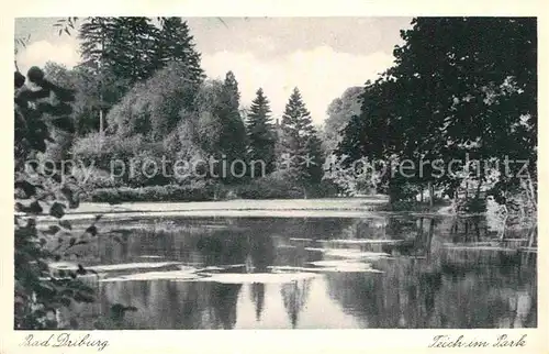 AK / Ansichtskarte Bad Driburg Teich im Park Kat. Bad Driburg