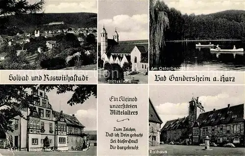 AK / Ansichtskarte Bad Gandersheim Stiftskirche Abtei Elisabeth Brunnen Kat. Bad Gandersheim