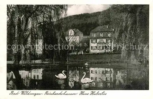 AK / Ansichtskarte Bad Wildungen Reinhardshausen Haus Hubertus Schwaene Kat. Bad Wildungen