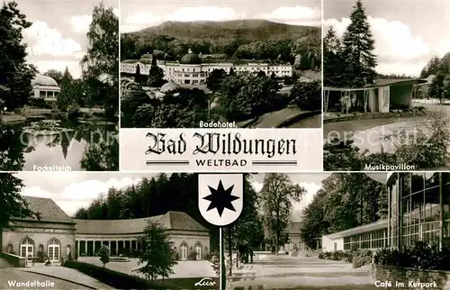 AK / Ansichtskarte Bad Wildungen Badehotel Cafe am Kurpark Wandelhalle Fackelteich Kat. Bad Wildungen