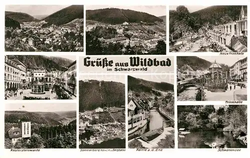 AK / Ansichtskarte Bad Wildbad Trinkhalle Partie an der Enz Keplersternwarte Schwanensee Kat. Bad Wildbad