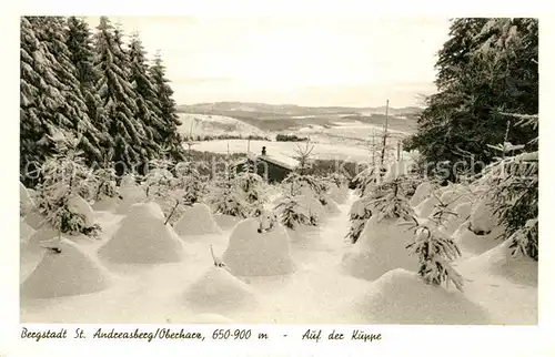 AK / Ansichtskarte St Andreasberg Harz Auf der Kueppe Kat. Sankt Andreasberg