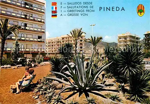 AK / Ansichtskarte Pineda de Mar  Kat. Spanien
