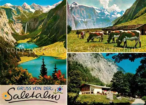 AK / Ansichtskarte Berchtesgaden Saletalm Gastwirtschaft Koenigssee Almvieh Kuehe Alpen Kat. Berchtesgaden