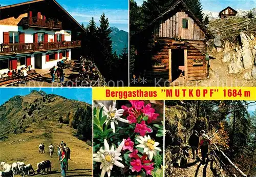 AK / Ansichtskarte Dorf Tirol Naturpark Texelgruppe Berggasthaus Mutkopf Bergwandern Alpenflora Kat. Tirolo