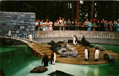 AK / Ansichtskarte Pinguin Stanley Park Vancouver Canada  Kat. Tiere