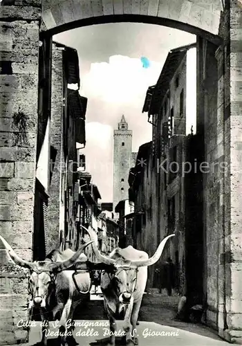 AK / Ansichtskarte San Gimignano Altstadt mich Ochsengespann